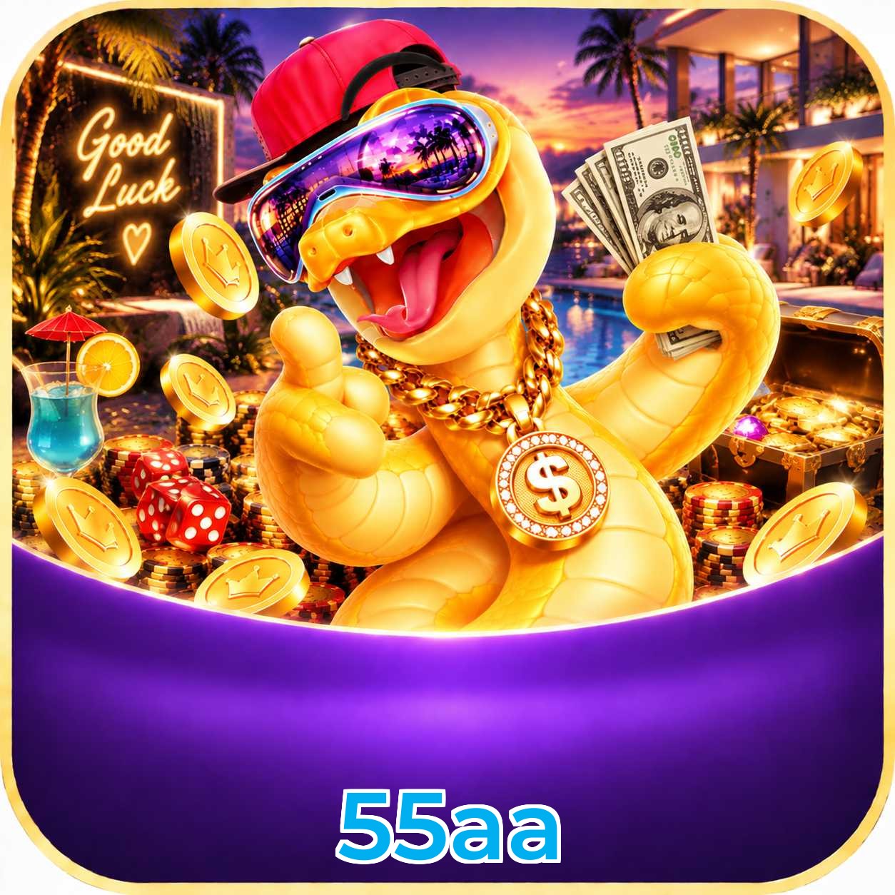 55aa VIP Program
