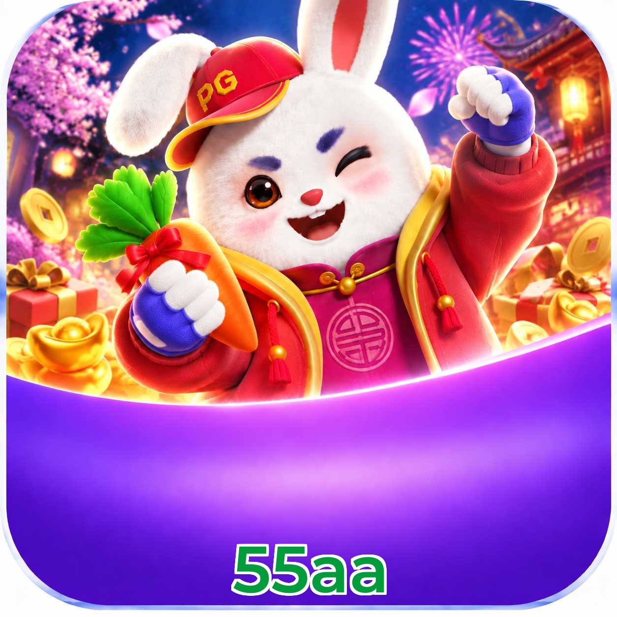 55aa FAQ